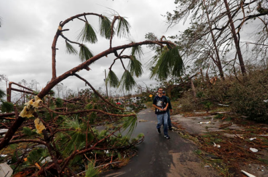 Mỹ: Ít nhất 13 người thiệt mạng do hậu quả bão Michael 