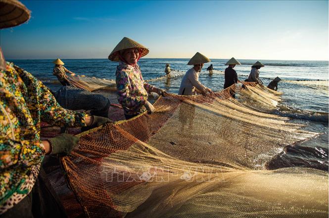 Tôn vinh những thành tựu và sự cống hiến của phụ nữ cho nhân loại