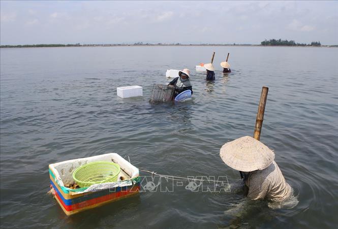 Tôn vinh những thành tựu và sự cống hiến của phụ nữ cho nhân loại