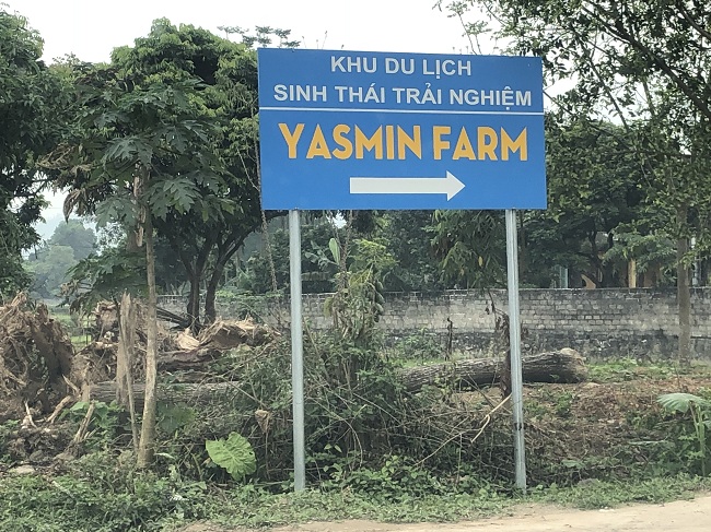 Thái Nguyên: Cận cảnh khu chăn nuôi bò sữa biến thành KDL Yasmin Farm