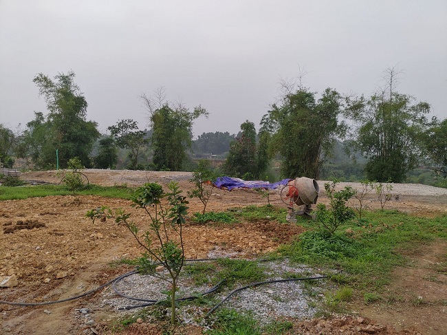 Thái Nguyên: Cận cảnh khu chăn nuôi bò sữa biến thành KDL Yasmin Farm