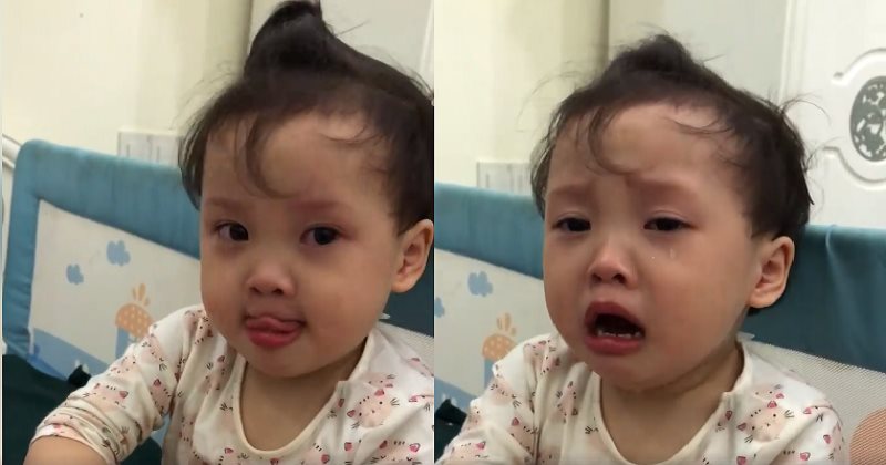 Phát sốt với cô bé 3 tuổi gọi điện thoại cầu cứu ông nội vì bị bố trêu
