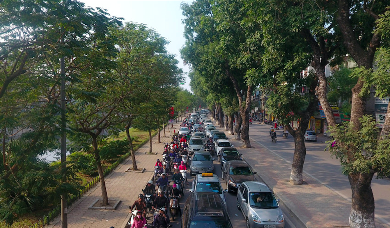 Hà Nội: Gần 500 cây xanh trên đường Láng sẽ thay thế bằng cây gì?