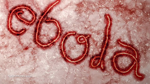 Nguy cơ dịch Ebola lây lan vào Việt Nam: Không nên chủ quan