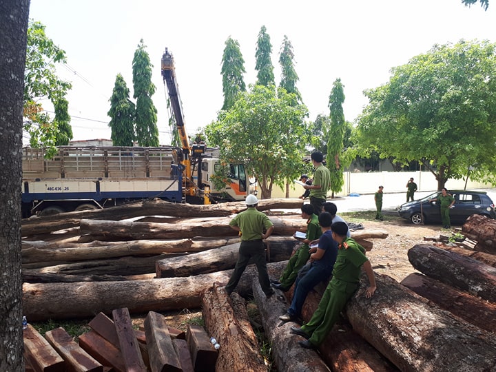 Bộ Công an vây bắt gỗ lậu cực lớn tại vườn Quốc gia Yok Đôn 