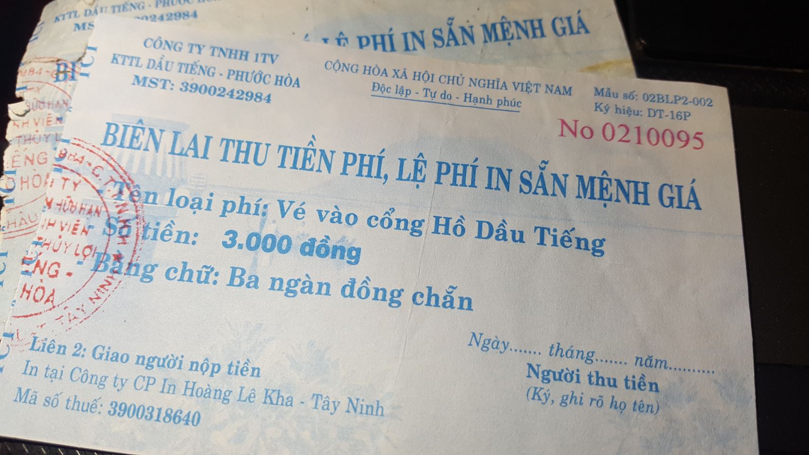 Bình Dương: 'Tay trắng' sau hơn 20 năm trồng rừng phòng hộ