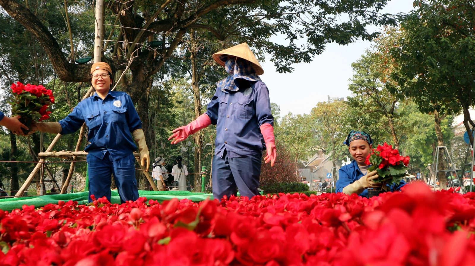 Hà Nội rực rỡ đất trời vào Xuân Kỷ Hợi