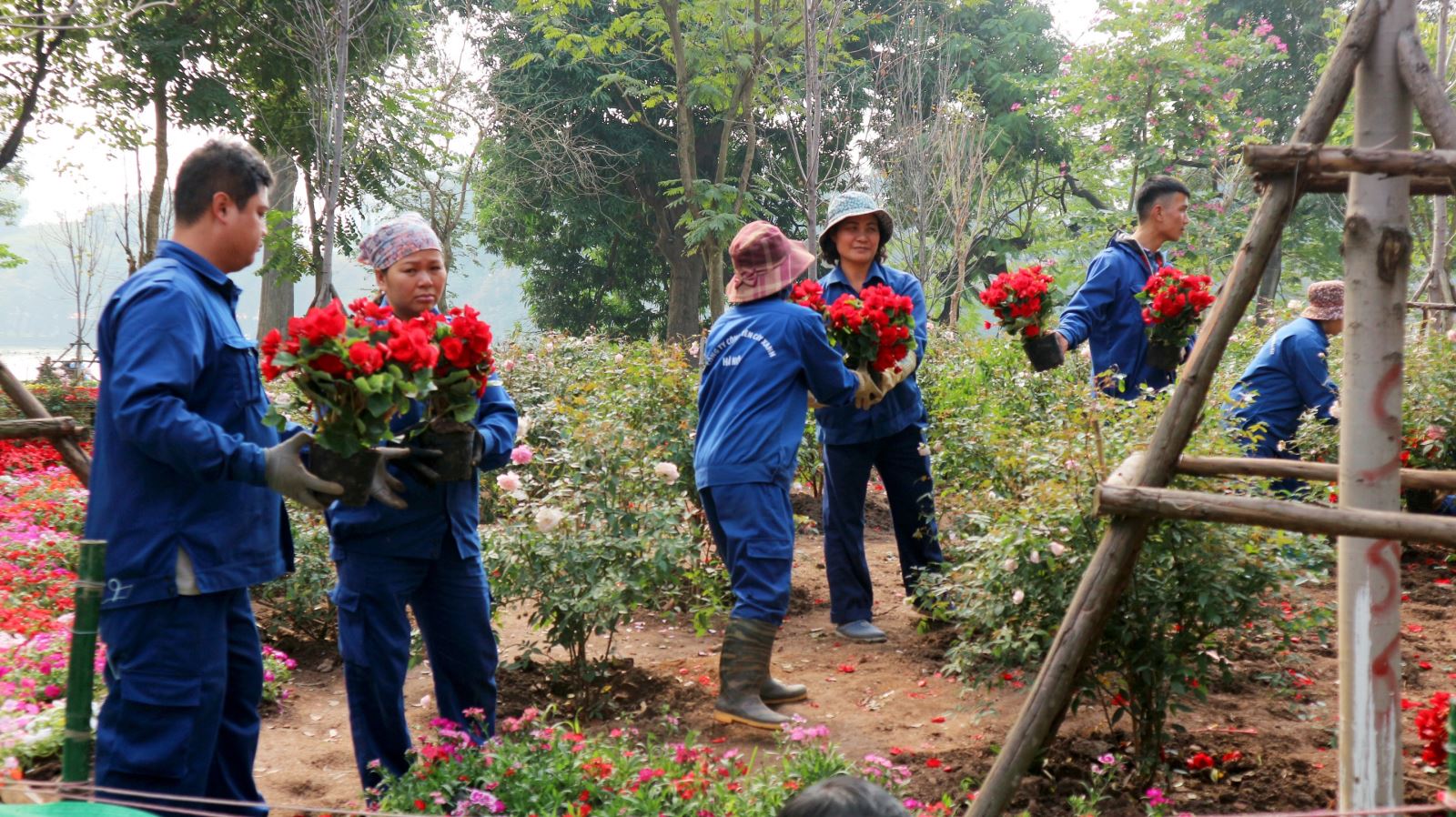 Hà Nội rực rỡ đất trời vào Xuân Kỷ Hợi