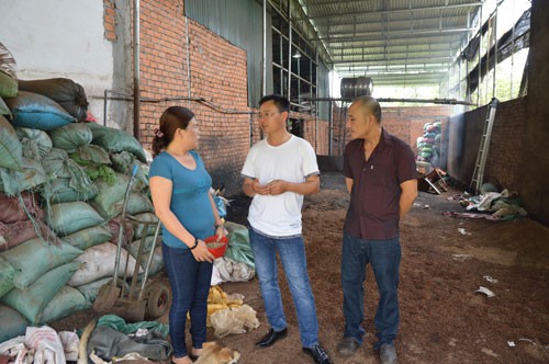 Vụ hồ tiêu trộn pin ở Đắk Nông: Kết luận điều tra