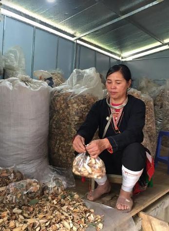 Bài thuốc gia truyền chữa đau nhức xương khớp lương y Triệu Thị Hòa