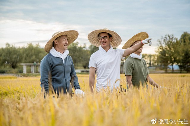 'Nhĩ Khang' Châu Kiệt hạnh phúc với cuộc sống làm nông dân trồng lúa