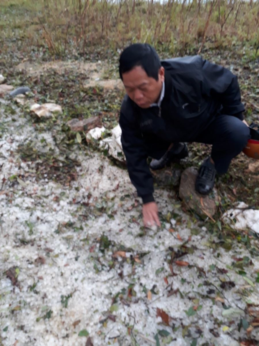 Hà Giang mưa đá xuất hiện gây thiệt hại hơn 2 tỷ đồng