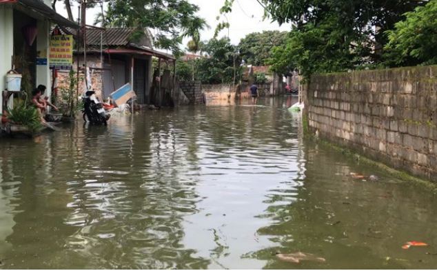Ngoại thành Hà Nội ngập sâu trong nước, sơ tán người dân khỏi vùng lũ