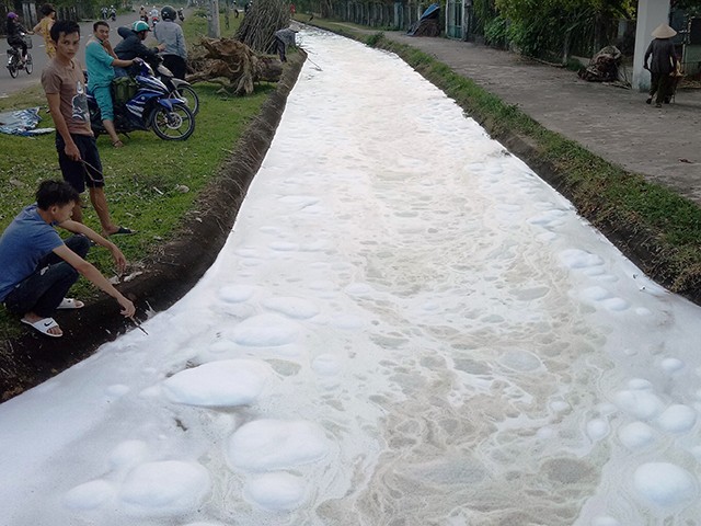 Quảng Nam: Lớp bọt trắng lạ trên kênh nước khiến cá chết hàng loạt