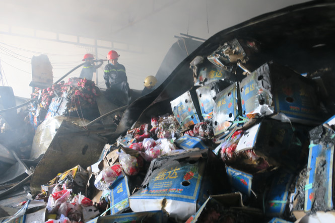 Bình Thuận: Cháy kho lạnh thiêu rụi 300 tấn thanh long