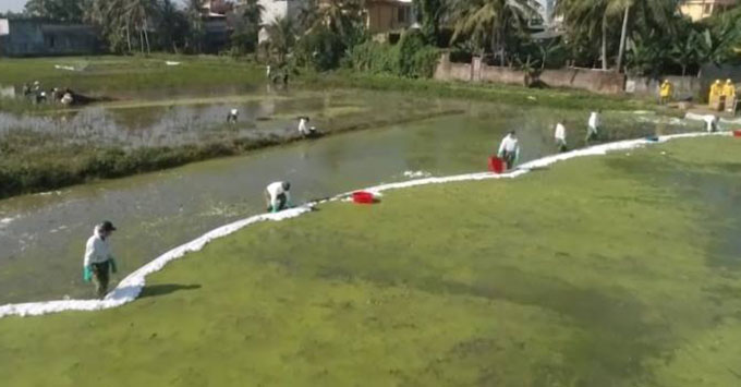 Hàng loạt tôm, cá chết sau sự cố tràn dầu ở Thanh Hóa