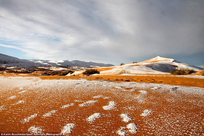 Kỳ thú: Tuyết phủ trắng sa mạc Sahara - Sa mạc nóng nhất thế giới
