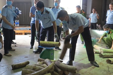 Phát hiện 9,1 tấn hàng hóa nghi ngà voi được ngụy trang tinh vi