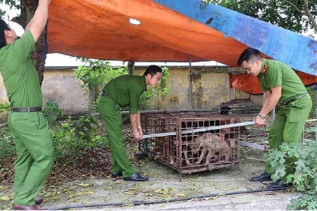 Khởi tố chủ đàn chó cắn chết bé trai 7 tuổi ở Hưng Yên