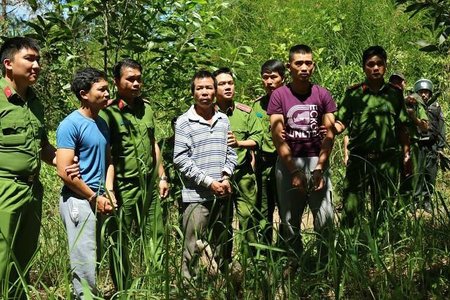 Bất ngờ khi khám xét nhà nghi phạm cầm đầu vụ hạ độc hơn 10 ha rừng thông ở Lâm Đồng