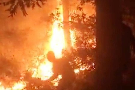 Cháy rừng trên diện rộng, hàng trăm người sơ tán tài sản dập lửa trong đêm