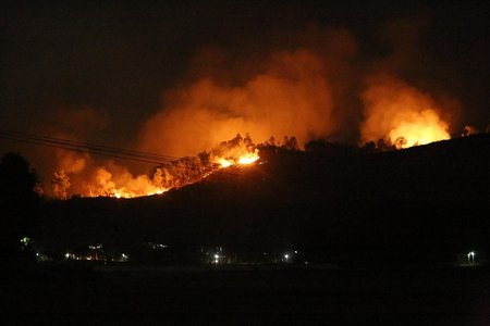 Hà Tĩnh: Tiếp tục cháy rừng, hàng trăm người căng mình dập lửa