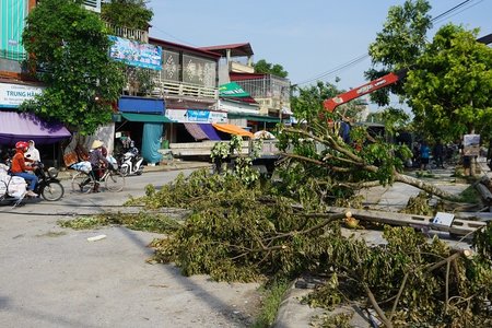 'Cuồng phong' hất tung 230 ngôi nhà, gãy cột điện và cây cối ở Thanh Hóa