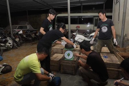 Phát hiện hơn 140 kg tê tê giấu trong khoang bí mật ở xe khách ở Hà Tĩnh