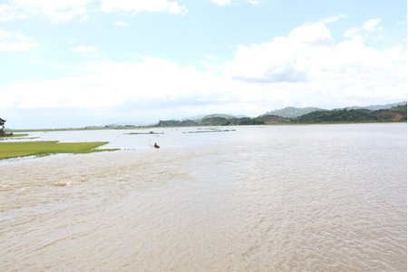 Đắk Lắk: Vỡ đê bao khiến hơn 1.000ha lúa sắp thu hoạch chìm trong biển nước
