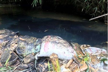 Công an Hòa Bình triệu tập một số người nghi đổ dầu thải xuống nguồn nước sông Đà
