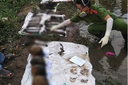 Điều tra làm rõ về 4 bộ xương người được phát hiện gần bờ sông Sài Gòn