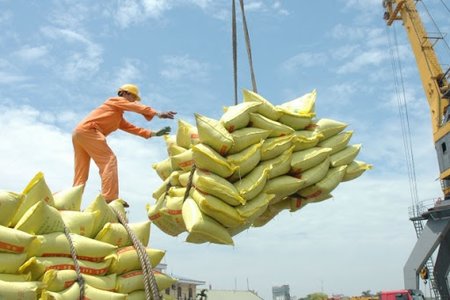 Thủ tướng đồng ý xuất khẩu gạo trở lại nhưng phải đảm bảo an ninh lương thự
