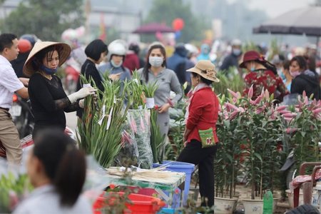 Người mua bán ở chợ hoa Mê Linh từ 20/3 cần liên hệ y tế gấp