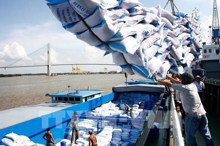 Phó Thủ tướng yêu cầu làm rõ vụ hải quan mở tờ khai xuất khẩu gạo lúc nửa đêm
