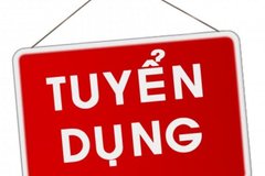 Chuyên trang Diễn đàn Pháp luật - Pháp Luật Net tuyển dụng phóng viên