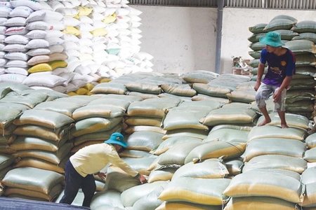 Sai phạm trong mua gạo dự trữ quốc gia: Làm rõ việc thông đồng, móc ngoặc để trục lợi