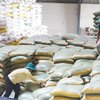 Sai phạm trong mua gạo dự trữ quốc gia: Làm rõ việc thông đồng, móc ngoặc để trục lợi