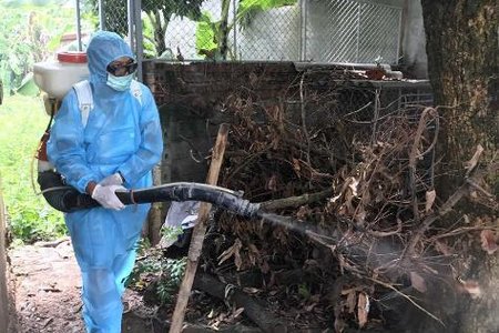 Ca nhiễm virus Zika ở Đà Nẵng đã khỏi bệnh