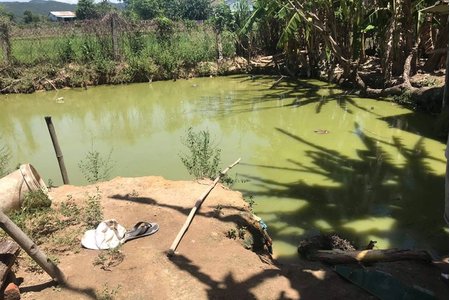 Hai cha con ở Quảng Nam bị điện giật tử vong khi kéo điện bắt cá