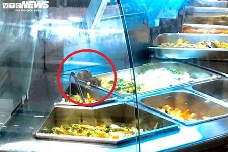 Để chuột bò vào tủ thức ăn, Aeon Việt Nam nói gì?