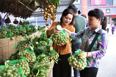 Đẩy mạnh xuất khẩu quả nhãn Việt Nam ra thị trường quốc tế