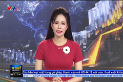 VTV lên tiếng xin lỗi sau sự cố ví gánh hàng rong như 'ký sinh trùng' trên sóng truyền hình