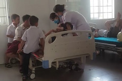 26 học sinh tiểu học nhập viện cấp cứu vì bị ong đốt