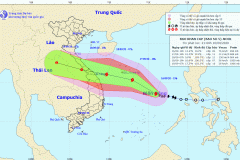 Tin về cơn bão số 5