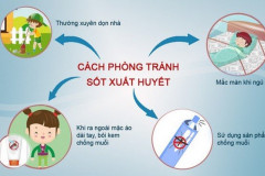 Sốt xuất huyết có xu hướng gia tăng, bộ Y tế khuyến cáo biện pháp phòng bệnh