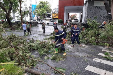 Một cán bộ phòng Giáo dục và Đào tạo tử vong do cành cây gãy đè trúng ở Huế