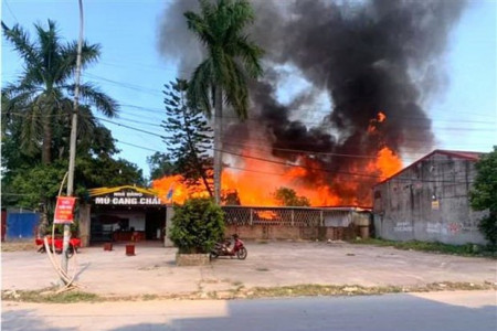 Hải Phòng: Người dân đốt cỏ, 2 nhà hàng bị thiêu rụi