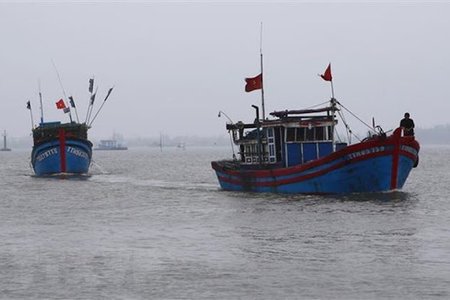 Bình Định: Hai tàu cá gặp nạn, hàng chục thuyền viên mất tích