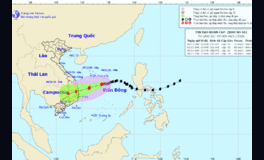 Bão số 10 cách quần đảo Hoàng Sa 320km, gió giật cấp 10