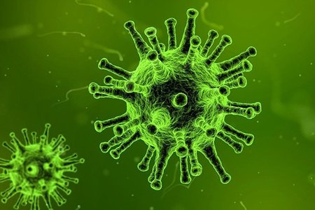 Trung Quốc xác nhận thông tin mới gây bất ngờ về virus corona
